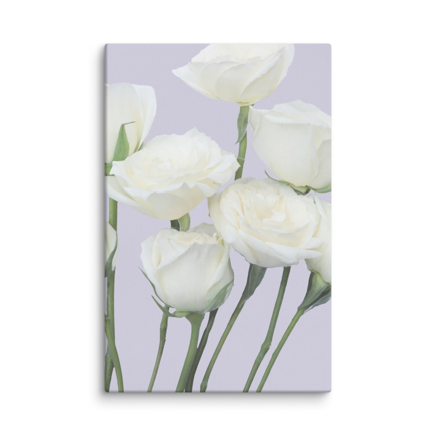 Soft Intimate Flowers Canvas